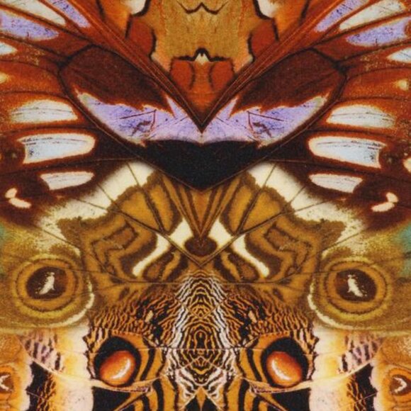 Alexander McQueen Spring 2010 Plato’s Atlantis Moth Camouflage Long Sleeve Dress - Picture 2 of 14